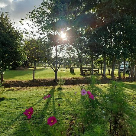 Erfgoed de Boemerang Chalets Meppen Buitenkant foto