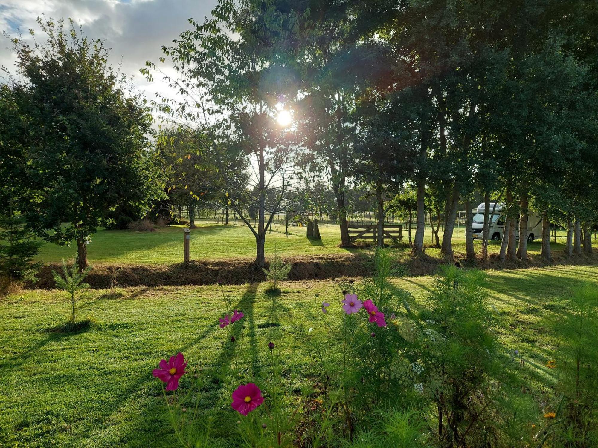 Erfgoed de Boemerang Chalets Meppen Buitenkant foto